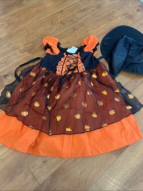 California Costumes Orange and Black Pumpkin Witch Dress with Hat